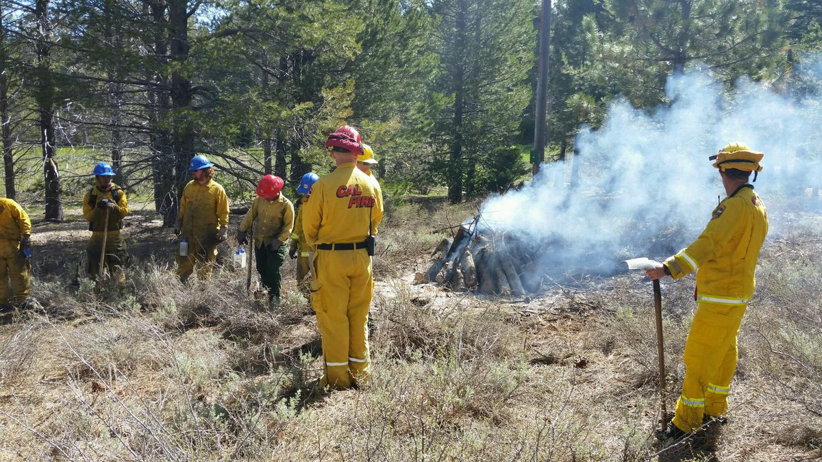 CALFIREAEU's tweet photo. CAL FIRE firefighters assisting California Tahoe Conservancy in reducing fuels within Lake Tahoe Communities. #FireAdaptedCommunities https://t.co/xFRm2hADiJ