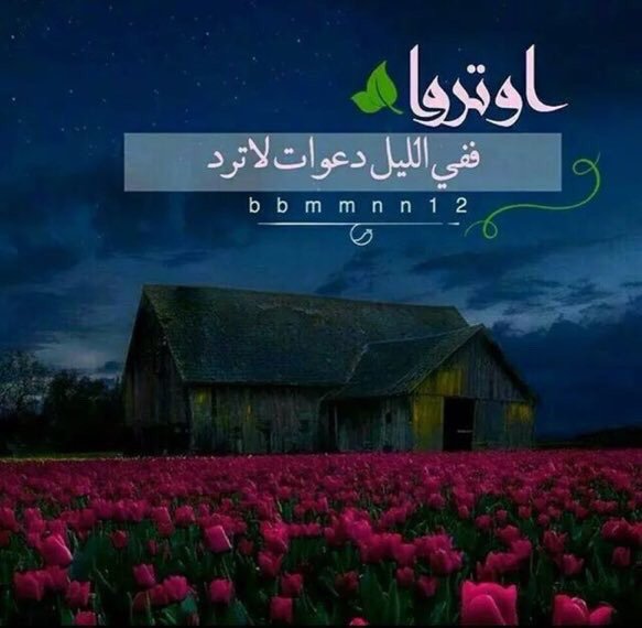 1t1__'s tweet photo. اوترو و لو بركعه ابعثو دعائكم ، و امانيكم الى السماء فهناك رب كريم يقول لكم .
" ادعوني استجب لكم " 
⁧#الوتر⁩ https://t.co/47c6kSPwKp