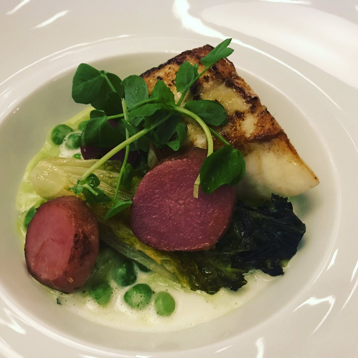 Laura Hayes 🍣 tweet media