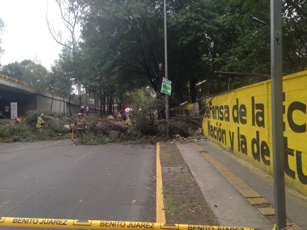 #coyoacan árbol caído. Nadie herido. Lateral Churrubusco al lado Sumesa