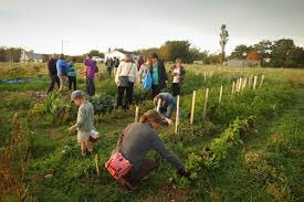 NourishNS's tweet photo. Take a look at the neat things École NDA has accomplished with their edible school garden! #SeeWhatImGrowing https://t.co/hiTxtfUEyj https://t.co/E5UWLuSULe