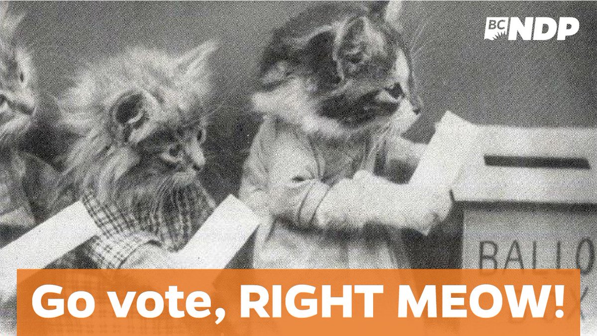 Don't 'paws' — the polls will close at 8pm. Find your polling station here:
bcndp.ca/where-to-vote #bcelxn17 #bcndp #bcvotes2017