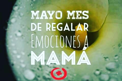 KadoFlores's tweet photo. #KadoFlores #DiaDeLaMadre #MadresKado #madresvenezolanas #venezuela #argentina #venezolanosenargentina https://t.co/JASfwZKwHH