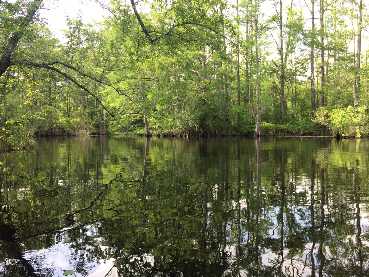 MidCityGoogan's tweet photo. #bayou #fishing https://t.co/4UqOm5H2gq
