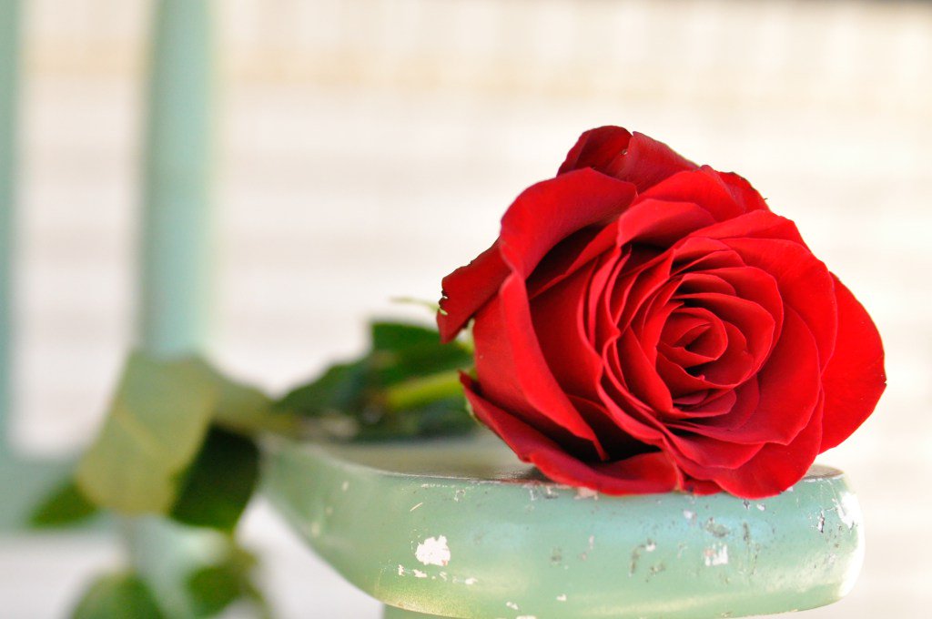 Peaks_and_Waves's tweet image. 10 Tips for Finding Balance as a Working Mom peaksandwaves.com/10-tips-for-fi…