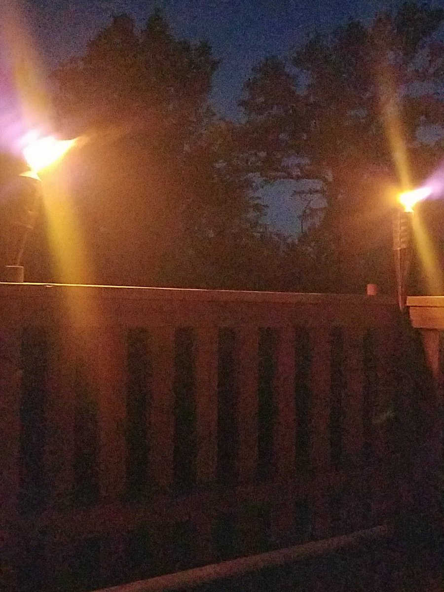 slaterontheedge's tweet photo. #backyardtime #chillin https://t.co/u7swUugRAt