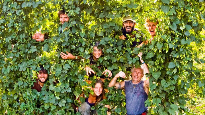 Westender (@westendervan) on Twitter photo What's holding your favourite beer farms back? westender.com/eat-drink/the-… #savethebeers <a href="/TheGrowlerBC/">The Growler</a> <a href="/PersephoneBeer/">Persephone Brewing</a> What's holding your favourite beer farms back? westender.com/eat-drink/the-… #savethebeers <a href="/TheGrowlerBC/">The Growler</a> <a href="/PersephoneBeer/">Persephone Brewing</a>
