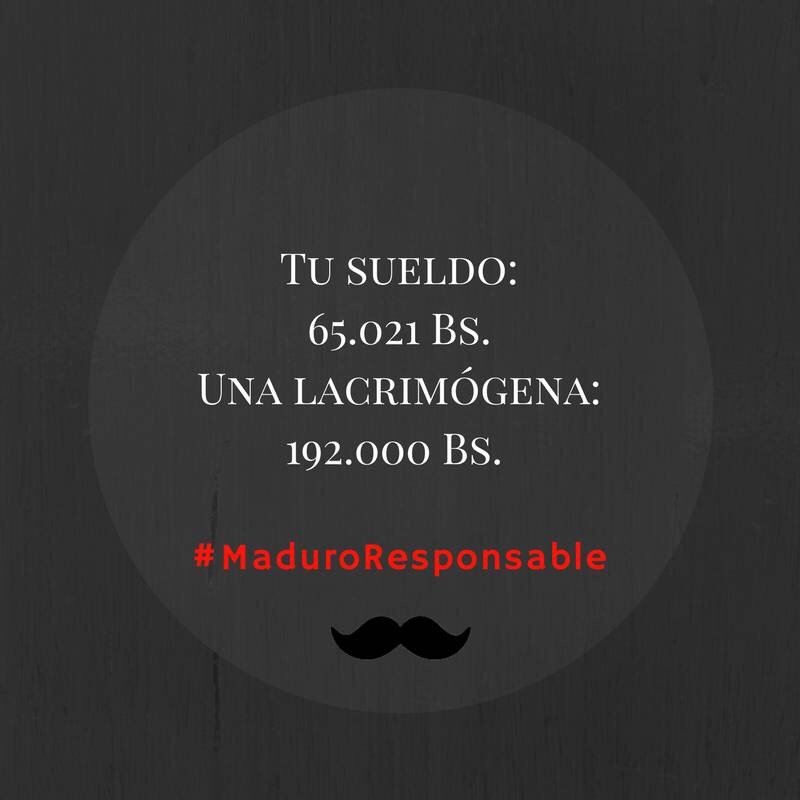 Daniella Matheus tweet media