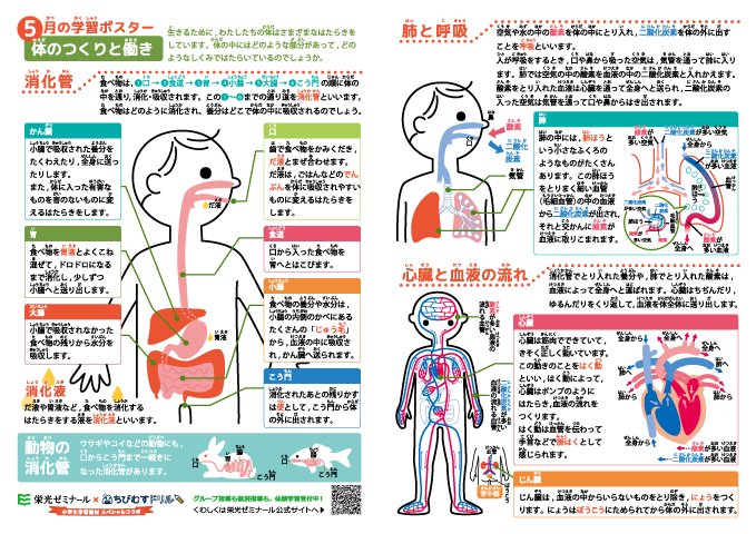 توییتر ちびむすドリル در توییتر 新規公開しました 小学理科 体のつくりと働き 学習ポスター クイズテスト 無料ダウンロード 栄光ゼミナール ちびむすドリル 小学生学習教材 スペシャルコラボ T Co Zphhxra9yl 消化管のつくりと働き 肺と呼吸