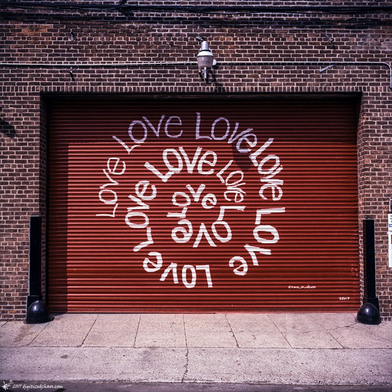 digitizedchaos's tweet photo. lovelovelove... - https://t.co/loj2QMhhrs #shootfilm #believeinfilm #mamiya #fujichrome #64t #crossprocessed https://t.co/fyEL8IYYhO