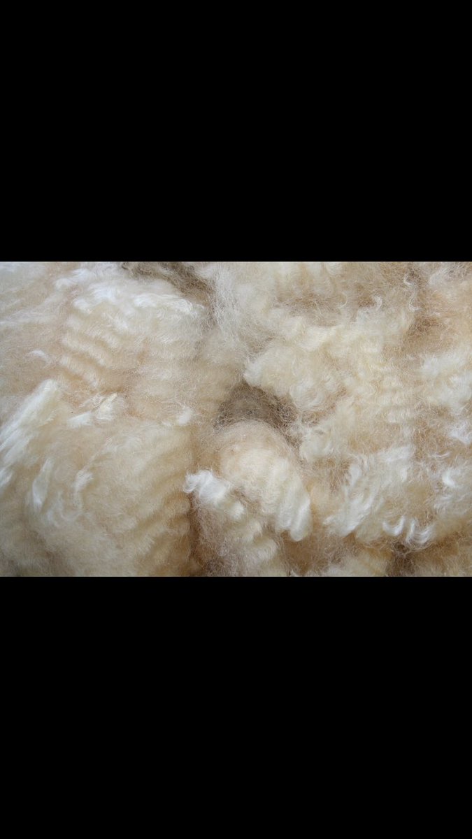 EjsRomneys's tweet photo. New fleeces on Etsy! #ejsromneys https://t.co/MNokHsHr8F
