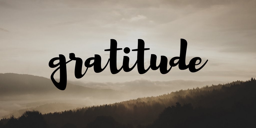 AIM_Coaching's tweet photo. Practice gratitude every day
#mlm #networkmarketing #homebusiness #entrepreneur https://t.co/Agcqd6BDPO