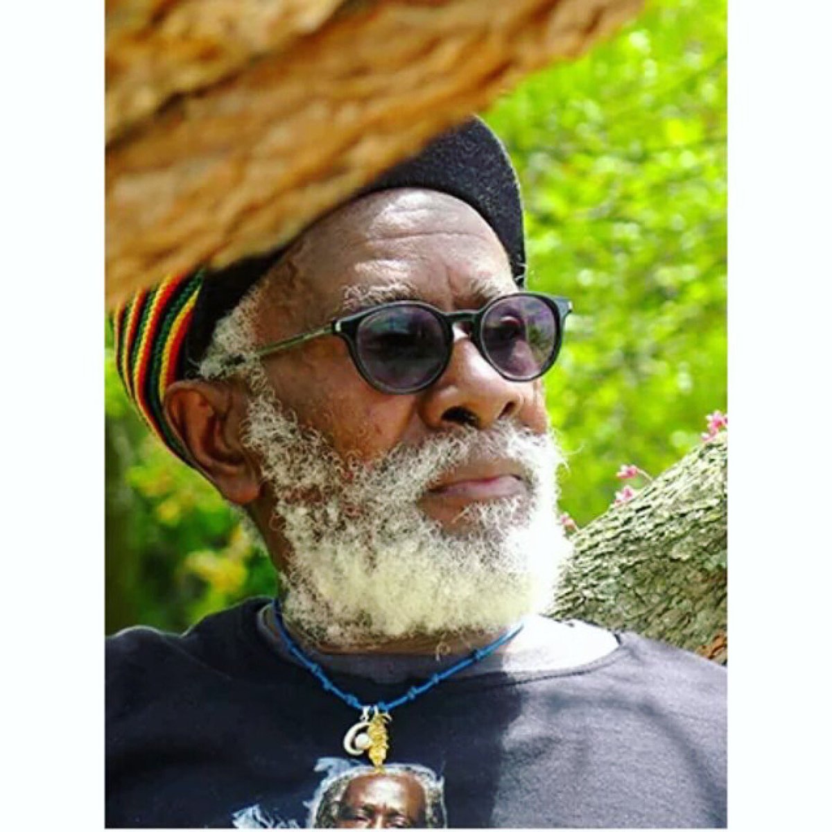 Reggae Britannia tweet media