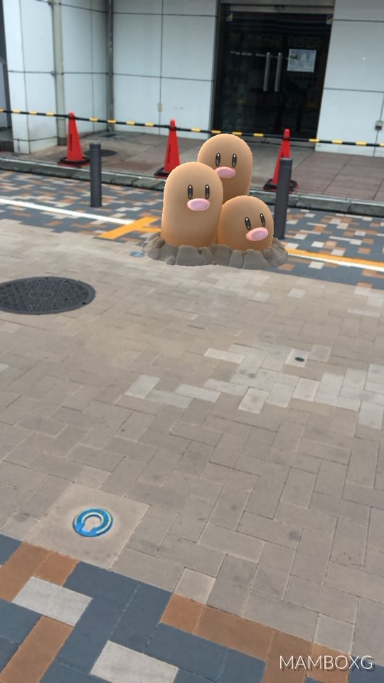 MAMBO_XG's tweet photo. 工事中🚧〜Under Construction 

#PokemonGoPhoto https://t.co/kqGOpmkhbs