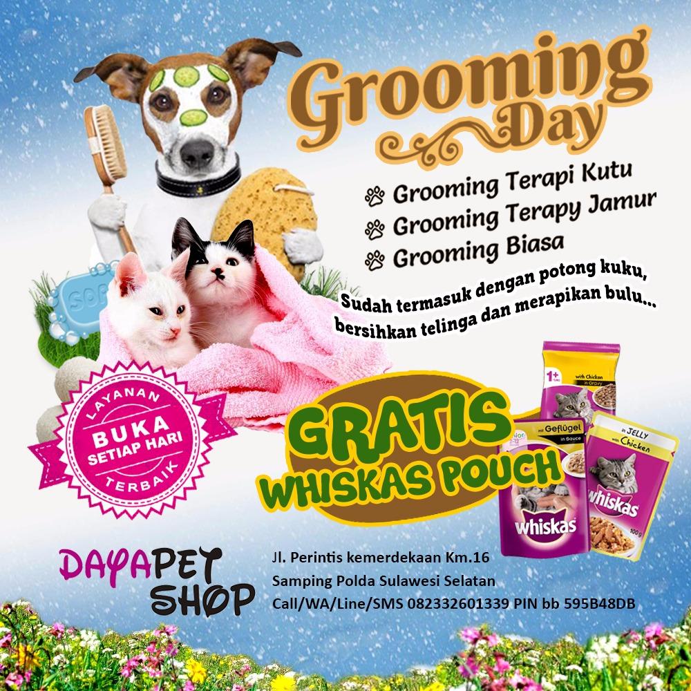 dayapetshop's tweet photo. Mau Whiskas Pouch senilai 6rb Free??
Grooming aja kucing anda di DayaPetshop.
Ayoo Buruan..🏃🏃 https://t.co/UnIPzgiLWc