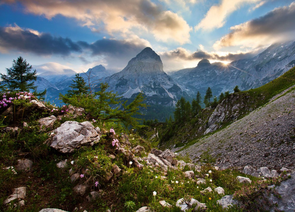 travel_slovenia's tweet photo. TRIGLAV NATIONAL PARK - one of the oldest and most beautiful national parks in #Europe, located in northwestern #Slovenia (p: Jost Gantar) https://t.co/BFVjRj1QZc