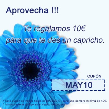 redmoda_net's tweet photo. Date un capricho !!!  https://t.co/XpLRoICkvF https://t.co/JFG9MThE8m