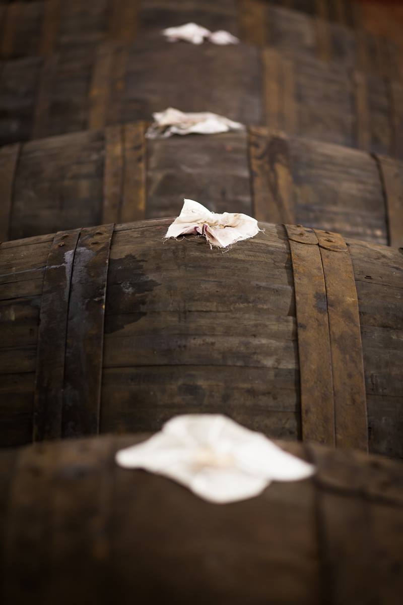 MarzadroDistill's tweet photo. Direttamene da #Porto, sono appena arrivate queste botti.
Serviranno per la nostra #Grappa #LeDiciottoLune Riserva https://t.co/Dh6sTusnPs