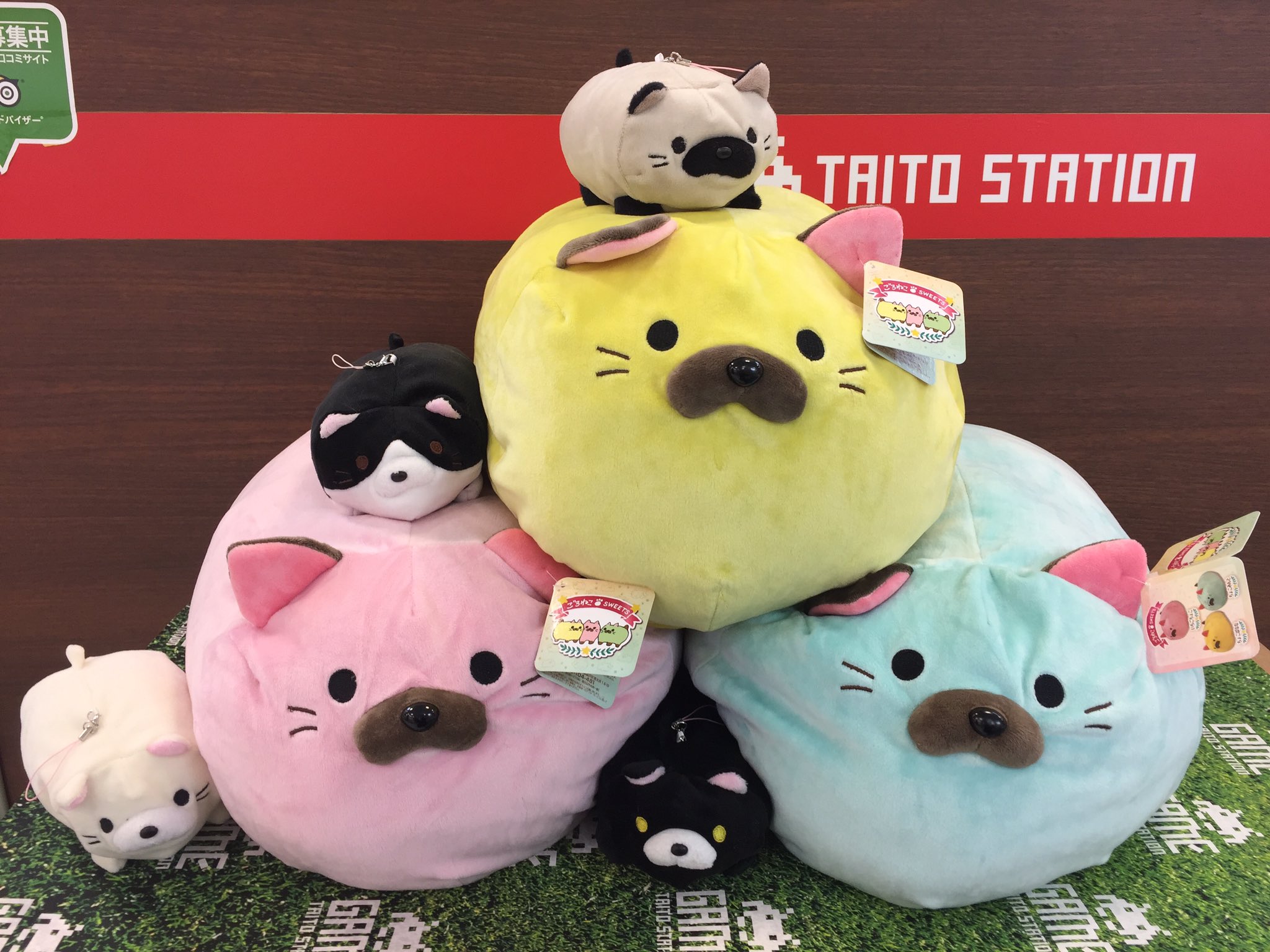 ごろねこ いちごちょこ スイーツ sweets （タイステ アリオ柏店