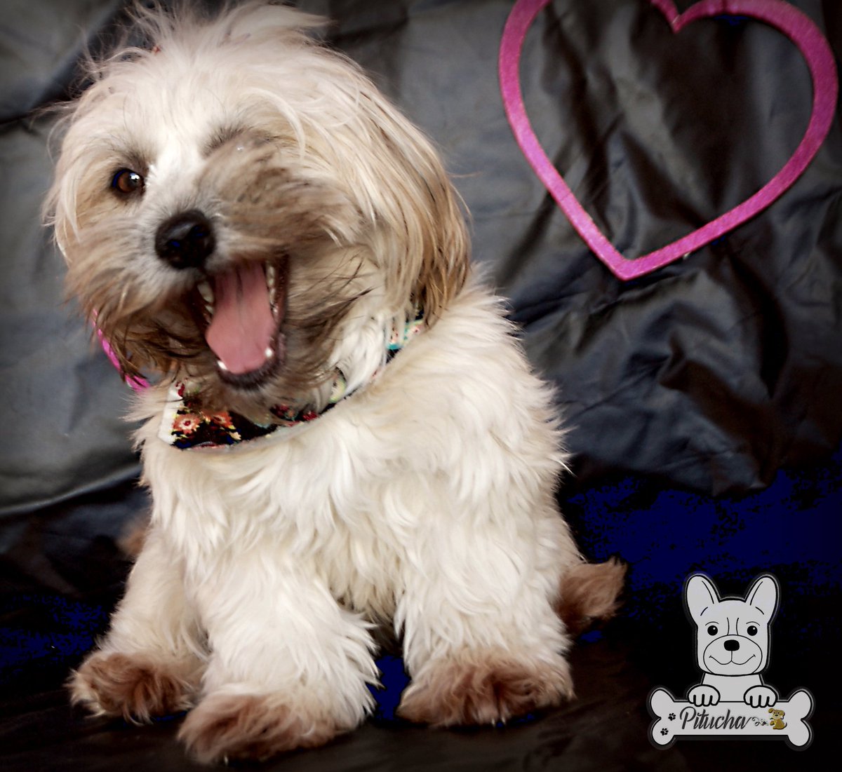 MassoniWM's tweet image. 