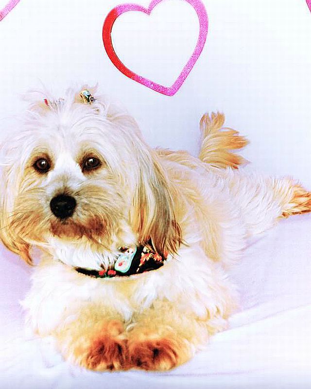 MassoniWM's tweet image. 