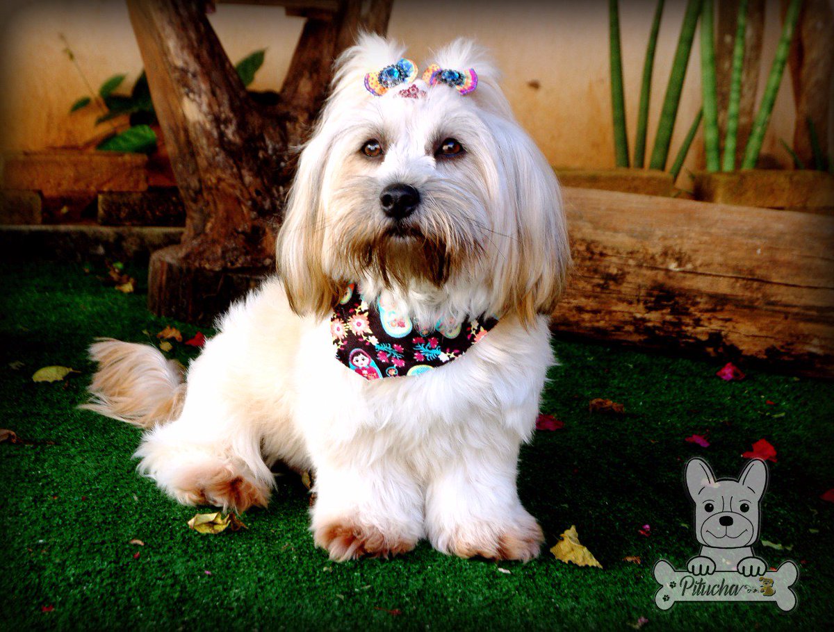 MassoniWM's tweet image. 