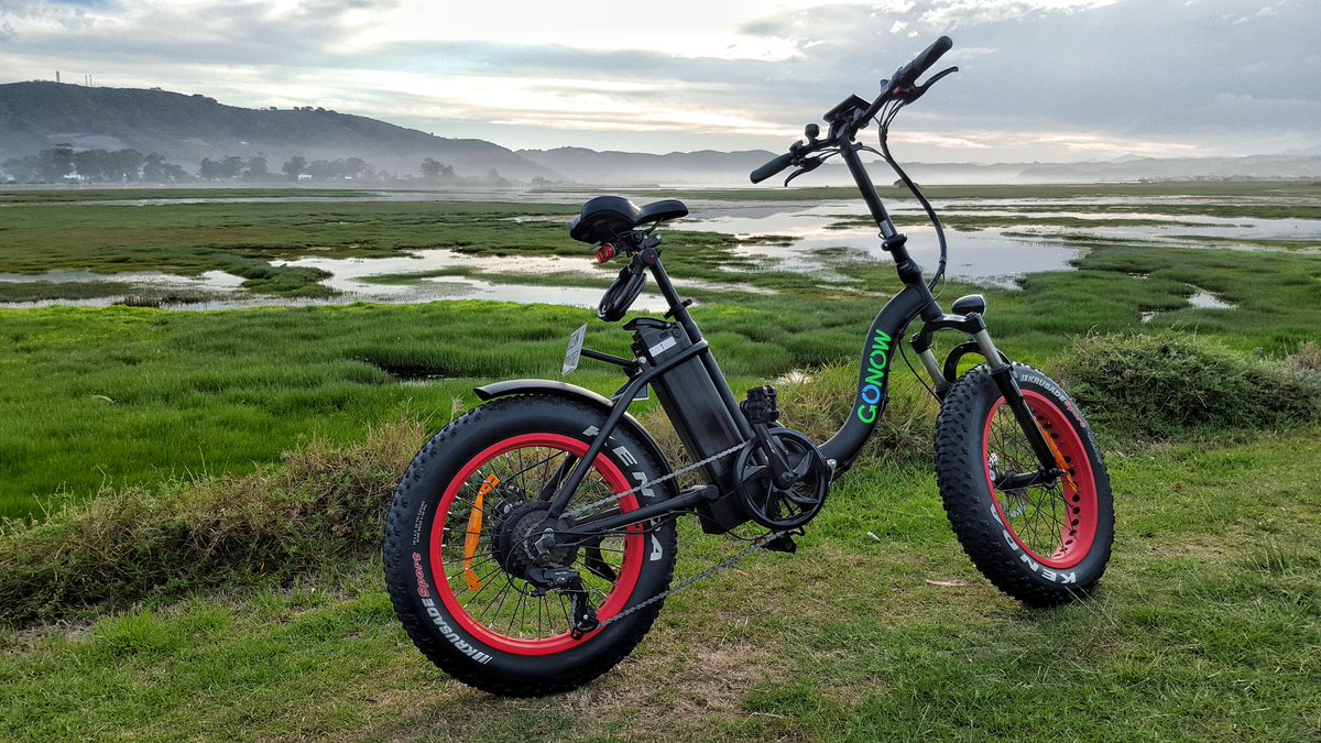 gotravelbug's tweet photo. Zipping around #knysna #gardenroute on a #gonowbicycle from @Knysnawhales with @ToursDuCap_Cape Paul @ExploreKnysna 
https://t.co/29wUTVb60w https://t.co/iE8r9lg3qM