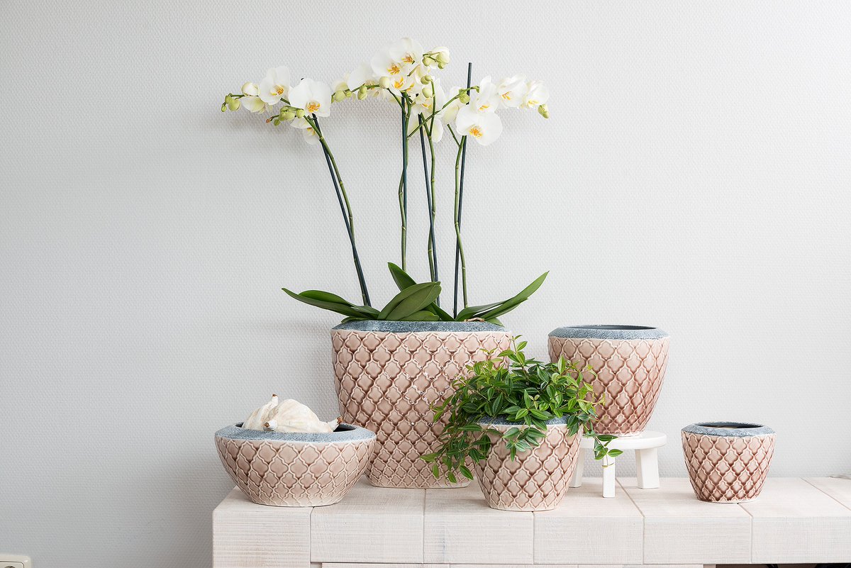 NieuwkoopEurope's tweet photo. Heeft u weleens een kijkje genomen in onze collectie indoor pottery? Het biedt voor elk interieur wat wils. » https://t.co/4MovnkScEX https://t.co/WJ1frHc4UB