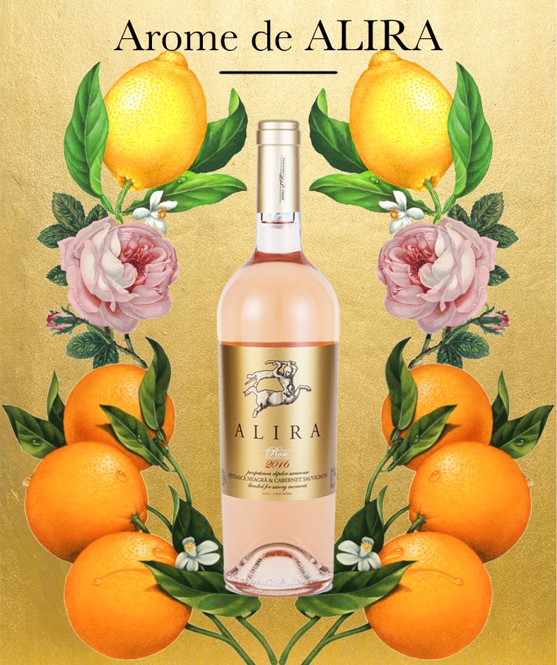 Alira_Vinul's tweet photo. Arome de #Alira #Rose2016. #CabernetSauvignon #FeteascaNeagra #aromeIntense #rose #recoltaNoua #newVintage https://t.co/rWFddzqYcW