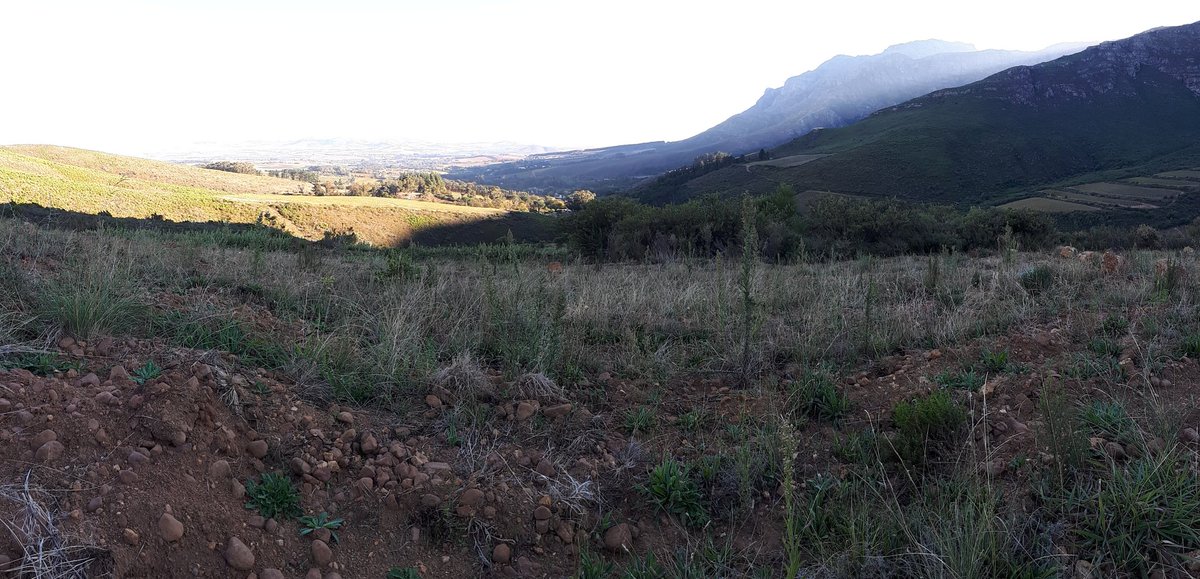 AlexStarey's tweet photo. Can't wait to replant this site next year at the top of #Steepside. Great soils, North facing, and 400m above sea level. https://t.co/rWZOva2KDR
