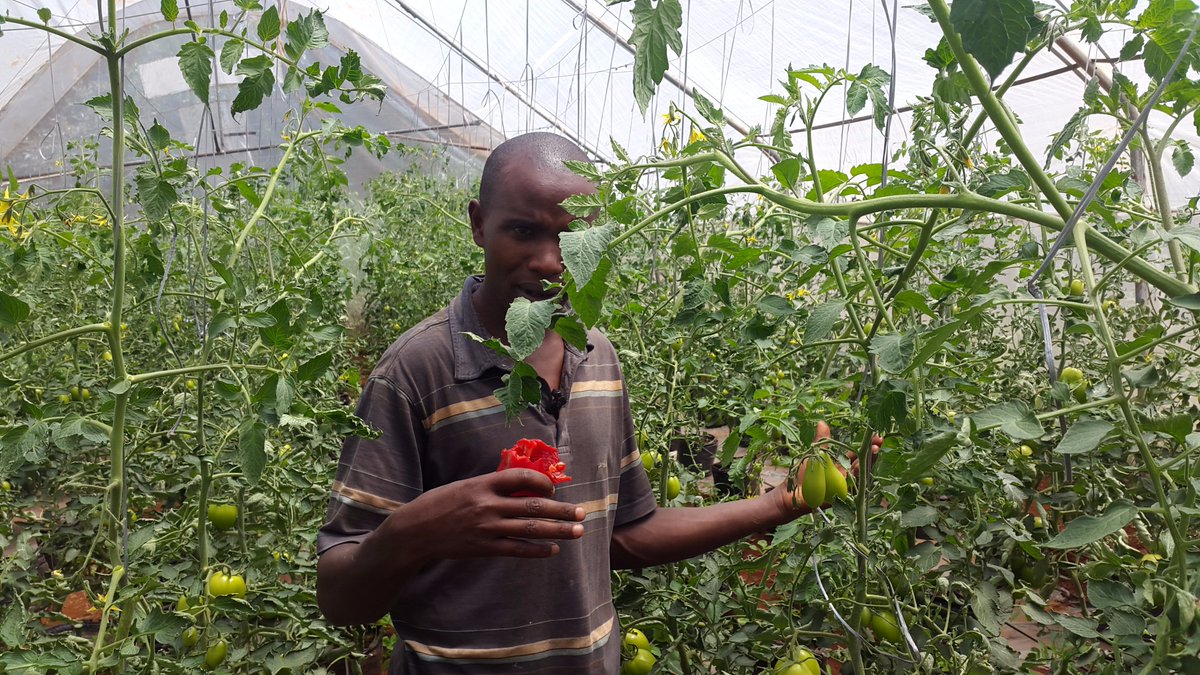 Youth Fund tweet media