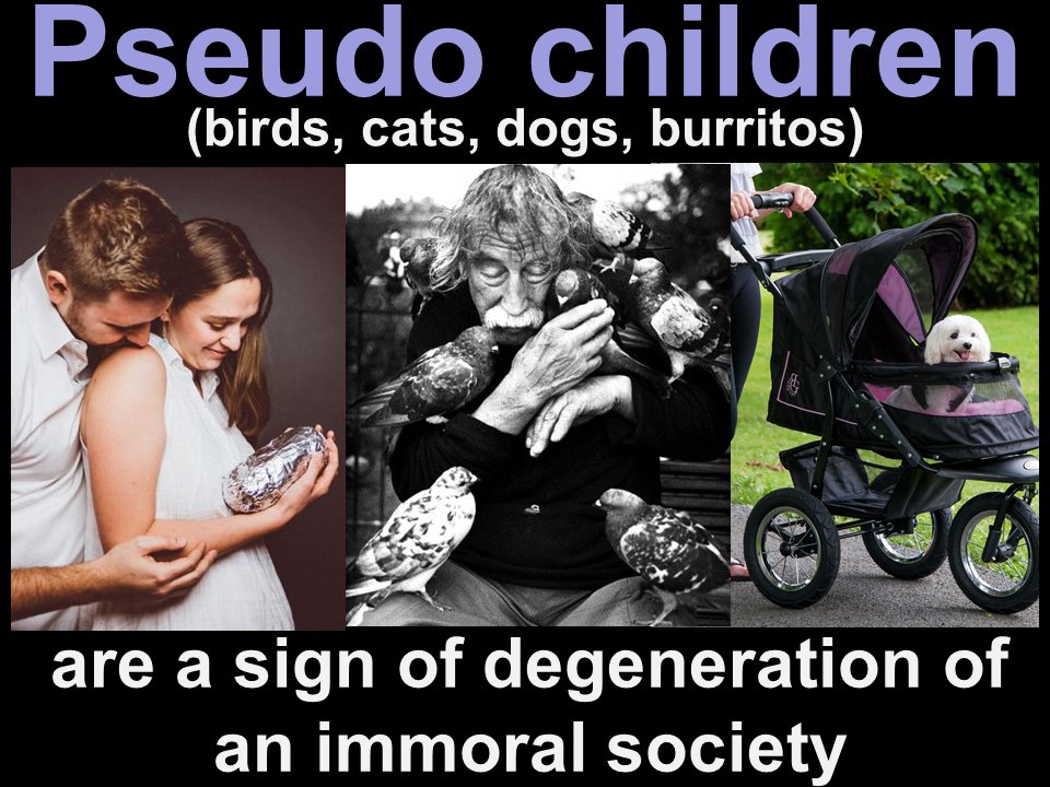 bionatalism's tweet photo. Pseudochildren #childfree #catsnotkids #dogsnotkids #petsnotkids #teamnokids #teamnobabies #catsbeforebrats #teamsingle #antinatalism #mgtow https://t.co/iYPQy4uwLn
