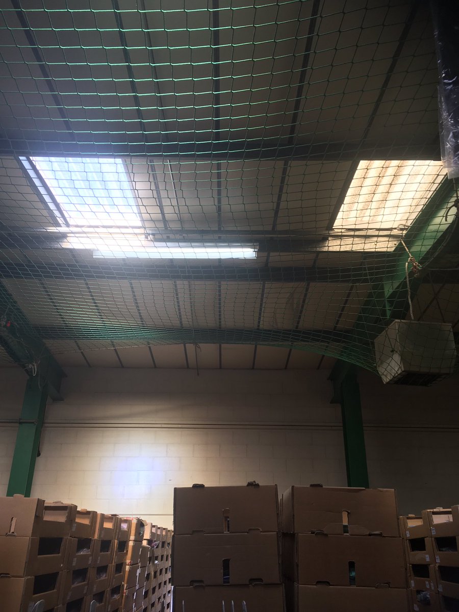 kjsindustrial's tweet photo. Rooflight replacement currently being done on a project in Norfolk see  the difference . #roofing #cladding #industrialroofing https://t.co/IGg6sMkCVd
