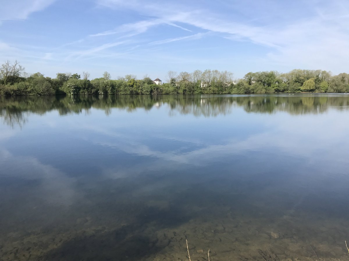 One Spring Lake tweet media