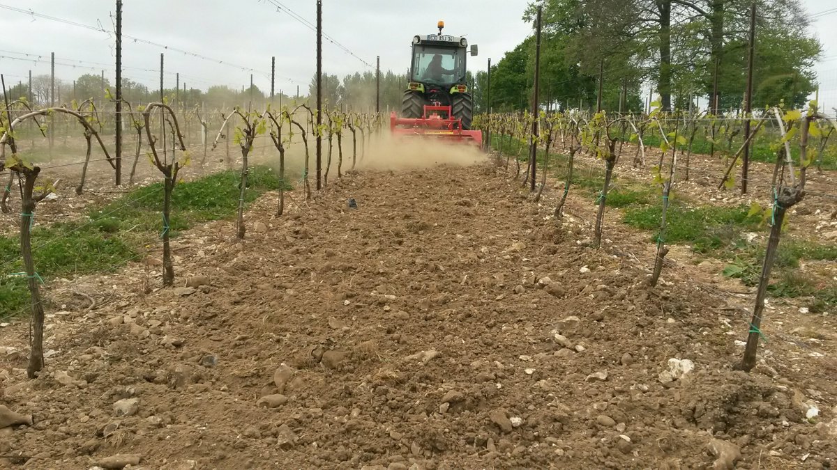 Vitifruit's tweet photo. Tough rotavating on Hampshire Downs on hire from Vitifruit Equipment https://t.co/q2uKZIgUeu