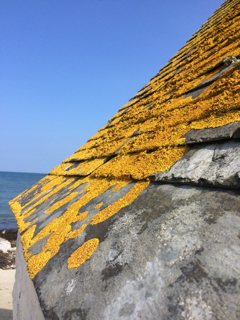 Clean air. <a href="/BodruganBarton/">Bodrugan Barton</a> #Wigwam holidays bodrugan.