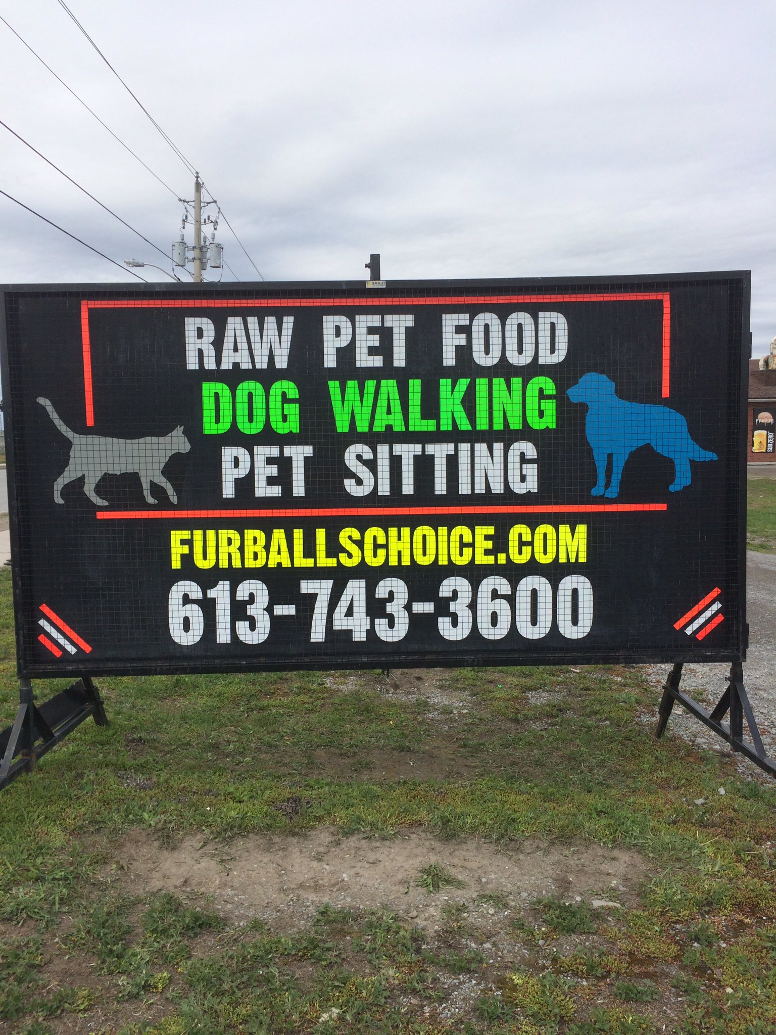 Furballs choice raw hotsell