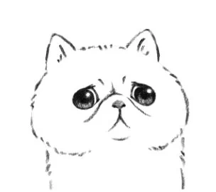 良い使用例届きました。LINEスタンプ「哀愁ネコ」https://t.co/bcBAOZCJOi 