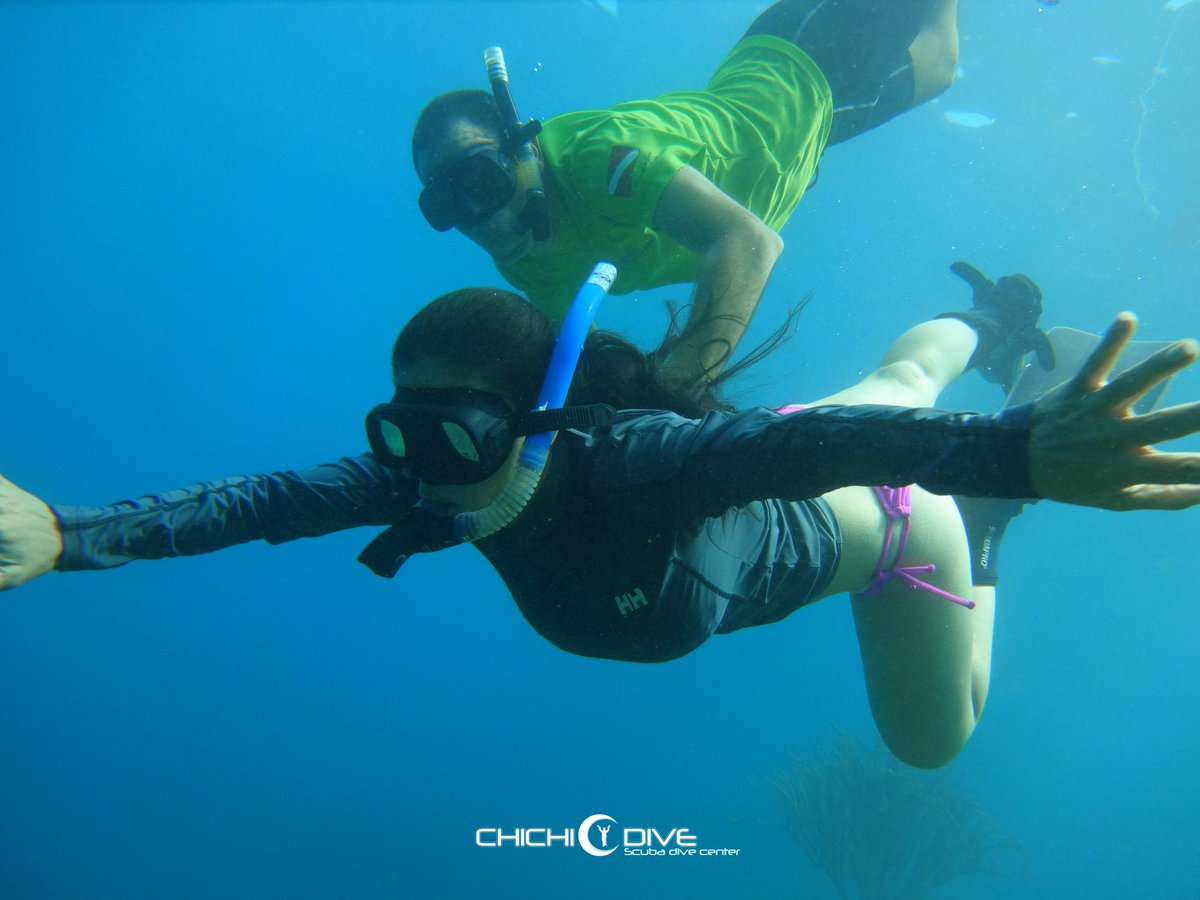 ChichiDive's tweet photo. Cuando descubres las maravillas del mar ya no puedes dejar de explorarlo#buceo #scuba #scubadive #dive #diving  #mar #sea  #playa #beach https://t.co/7Xqp4DLgDg