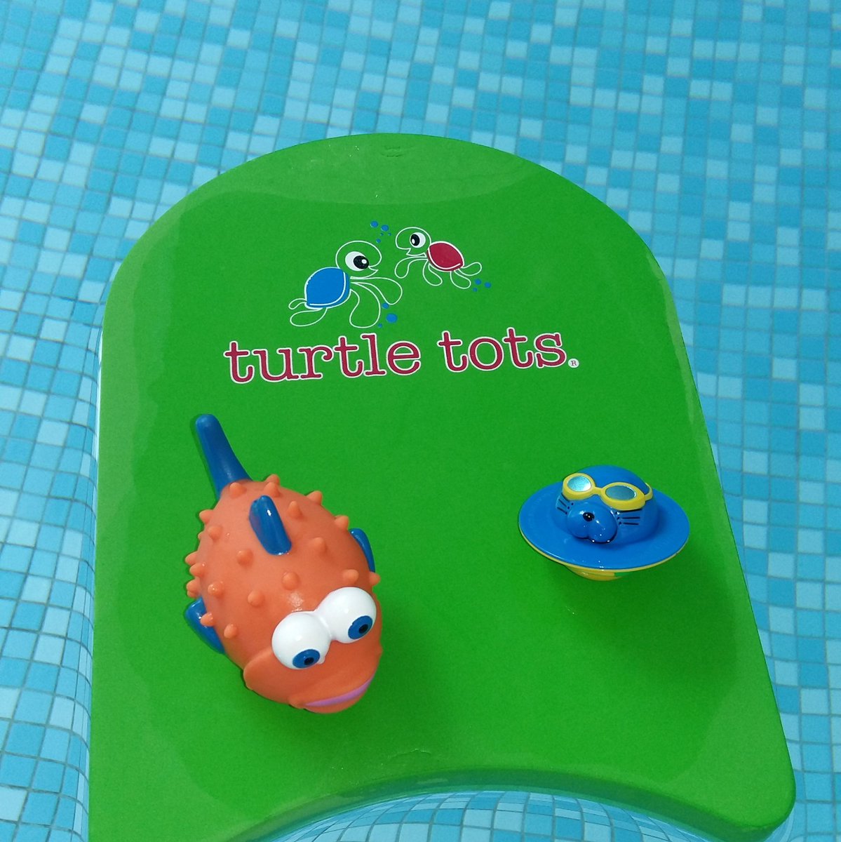 Lovely afternoon swimming <a href="/Chadwickhotel/">The Chadwick Hotel</a> with the baby level 1s and toddlers. #babyswimming #turtletots #stannes