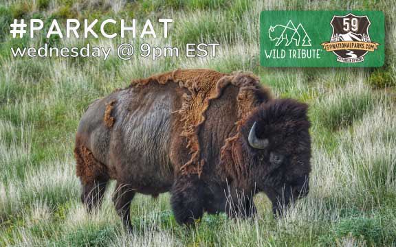 59NationalParks's tweet photo. #ParkChat has a new banner that doubles as a #DailyBisonUpdate Join us for all the fun tonight at 9PM ET @Wild_Tribute https://t.co/Ts4e0by7XQ