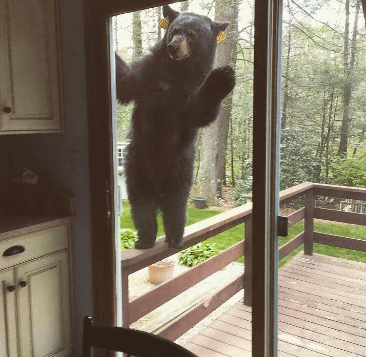 StixnStonesInc's tweet photo. Anybody home? #GoodMorning #RT https://t.co/oVRXnzFmbo