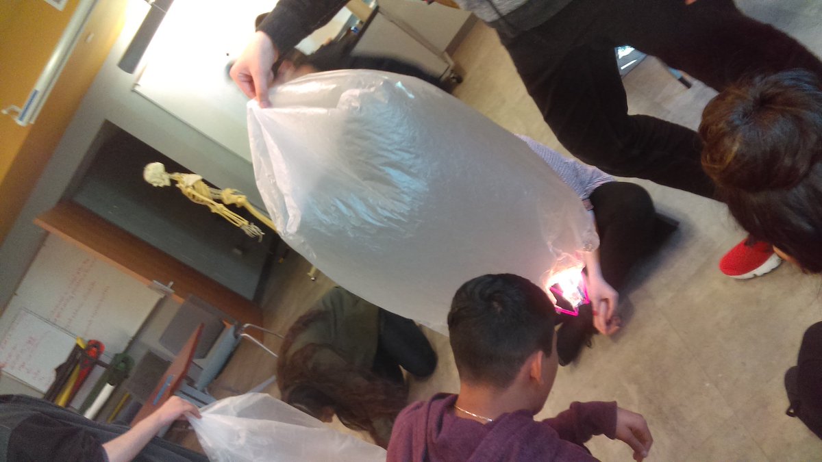 MrFredenburg00's tweet image. Chemistry class making hot air balloons to apply the gas laws. #newshec