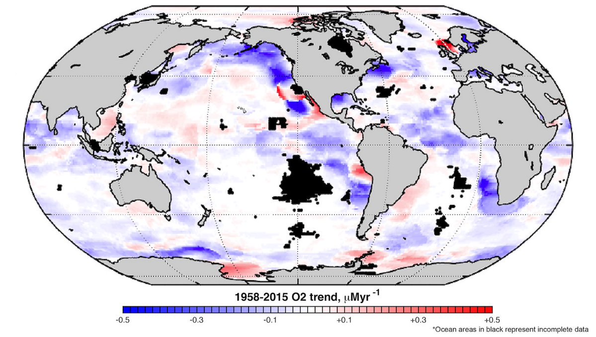 sealifecom's tweet photo. Carbon pollution suffocating ocean life, speeding up next mass extinction https://t.co/I0qkzPZmIa #climate... by #climatehawk1 https://t.co/gkeCE1SHUR