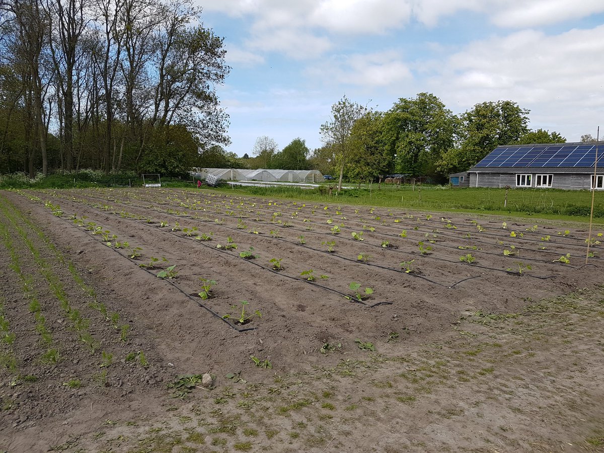 De Noorderhoeve tweet media