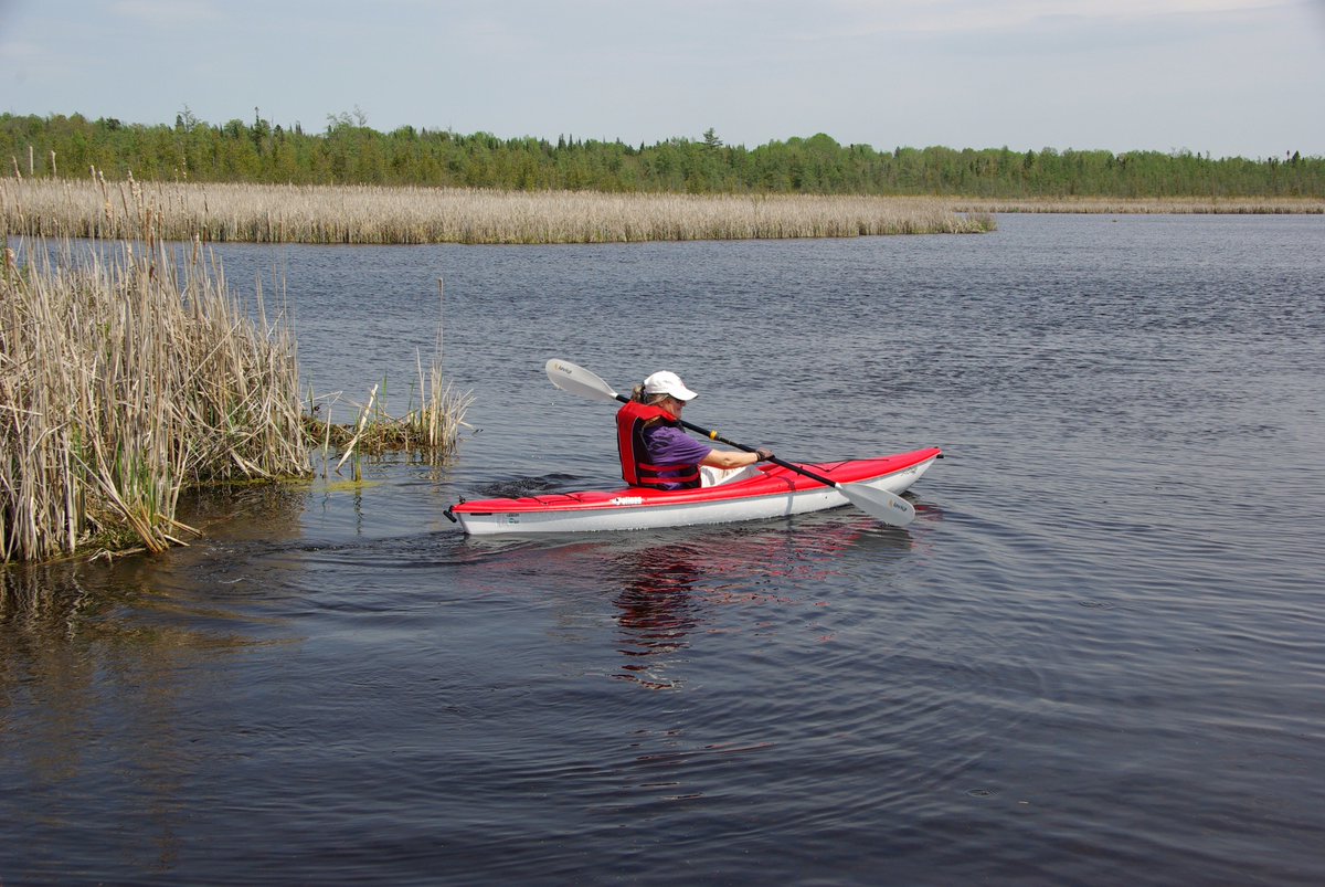 KLTptbo's tweet photo. Looking forward to our first paddling trip this evening with @PtboPaddling to the #KLTprotected Emily Creek #kawarthas @kawarthaNOW https://t.co/HEA2SeGQz5