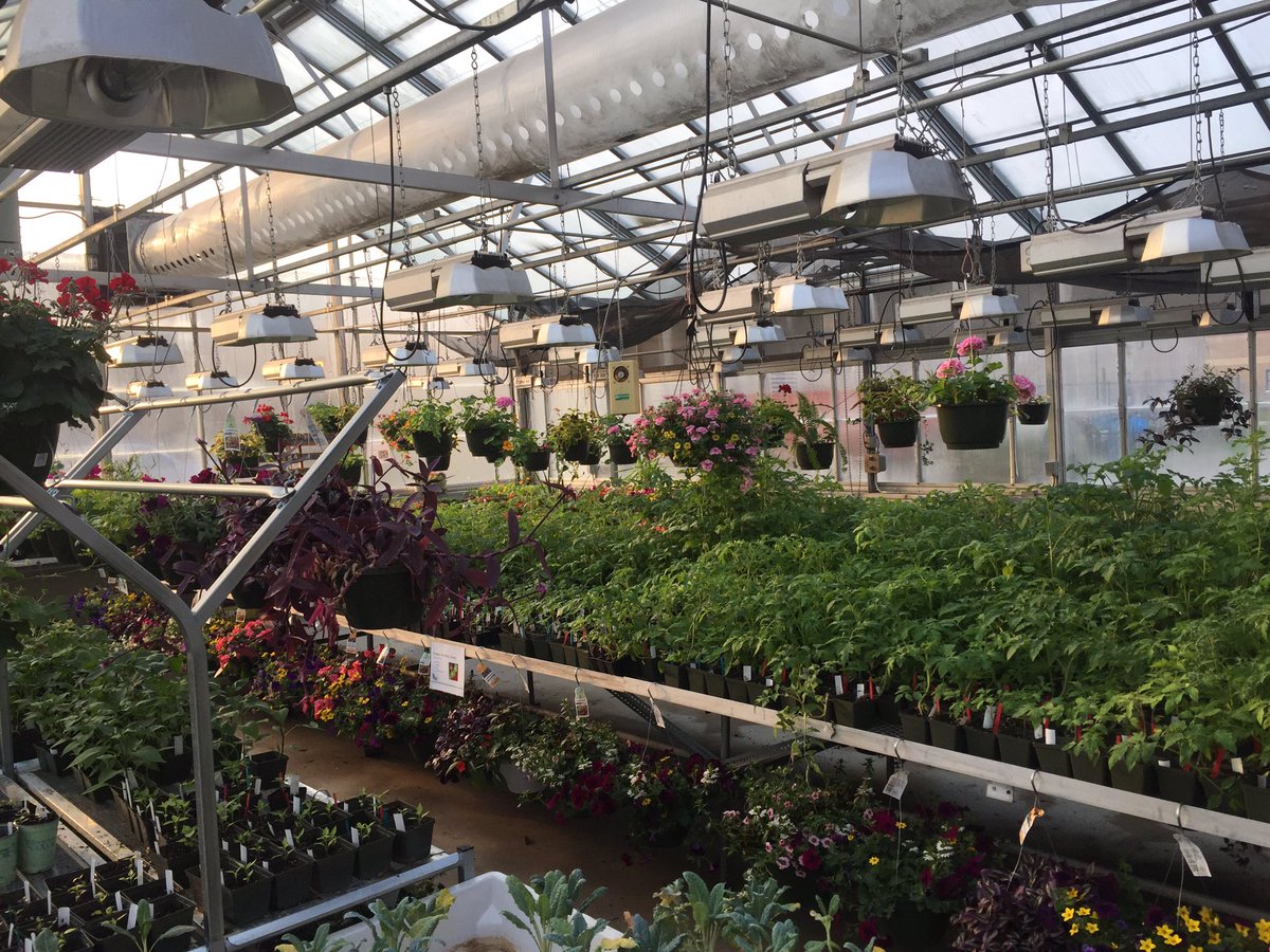hse_ffa's tweet photo. Come support HSE FFA! Buy your flowers and veggies from the greenhouse. Open today-Friday, 3-6 and Saturday 8-5! https://t.co/4CoN7zYDqy