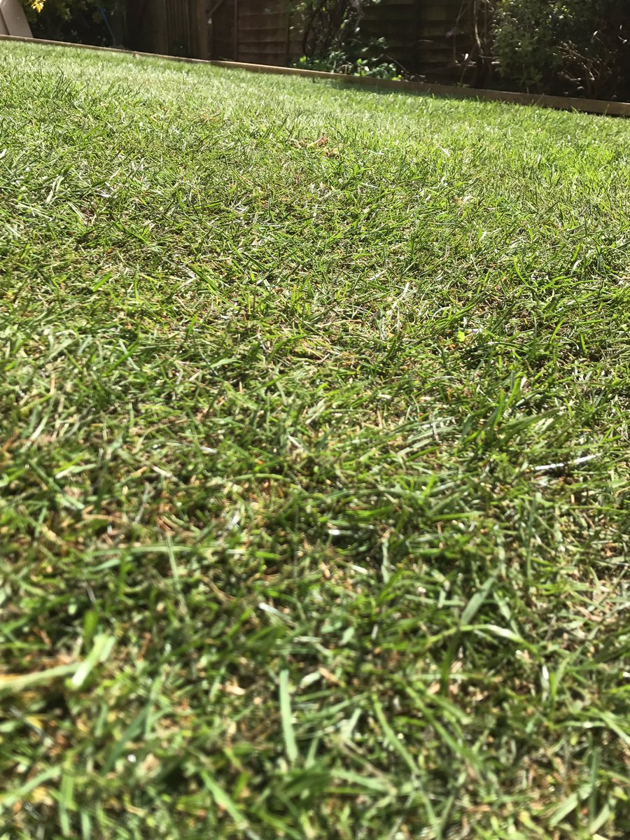 Insideoutgarden's tweet photo. Turfing in the sunshine ☀️ https://t.co/KkDrSG0z0Z
