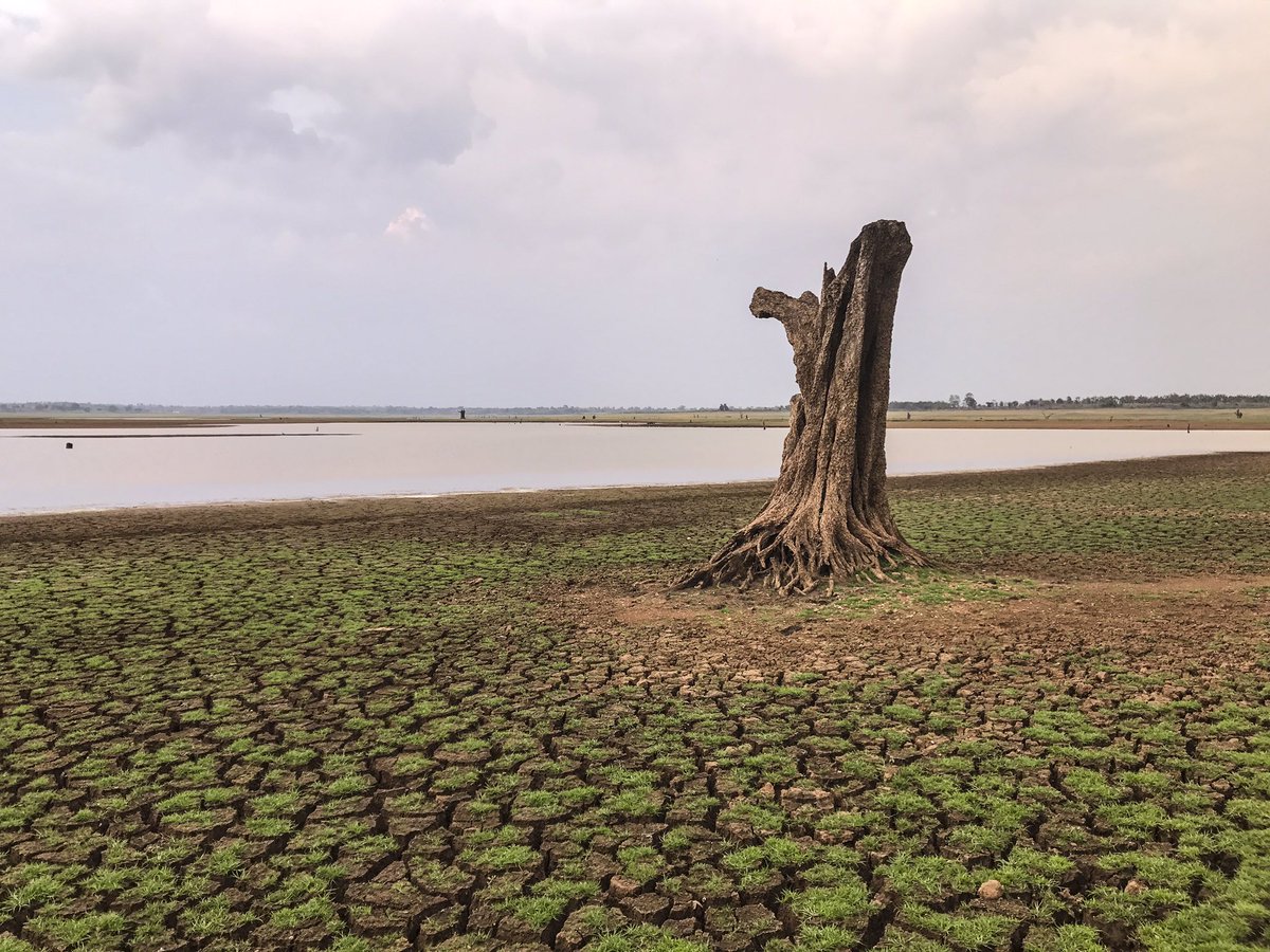 TravelOra's tweet photo. Dry land, shrinking river and lifeless vegetations - Save our Earth #travelora #earthday #india #kabini #travel #cloudy https://t.co/h3DPC427n0
