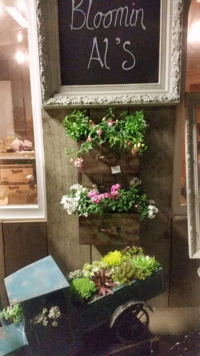 Bloomin Al's tweet media